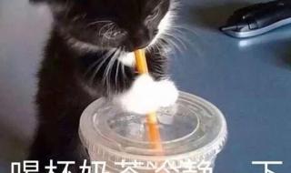 入秋第一杯奶茶红包朋友圈文案 入秋第一杯奶茶图片