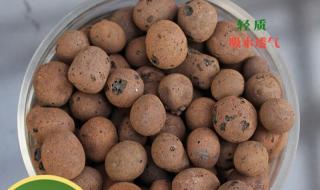 水草缸陶粒买回来需要洗吗,是那种特小的陶粒 陶粒一般在哪买