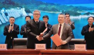 中植集团与中央关系