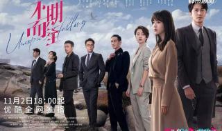 不期而至电视剧剧情 不期而至电视剧剧情