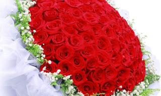 武汉520公交车路线 武汉520公交车路线