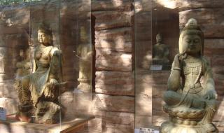 2023年1月仙湖弘法寺开放吗 深圳仙湖弘法寺