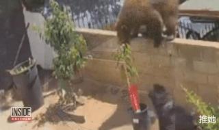 最后一次17岁女生 最后一次17岁女生