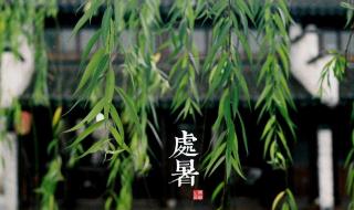 白露下雨预示着什么