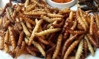 秋天最毒的虫子 云南十大最毒虫子